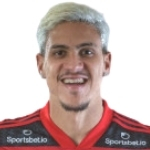 Pedro Guilherme Abreu dos Santos