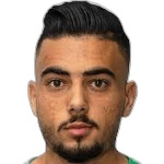 Tarek Bushank