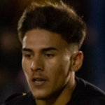 Brian Nicolás Mansilla Islas