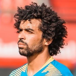 Mahmoud Farag Ibrahim Hassan