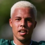 Matheus Henrique de Souza de Carvalho