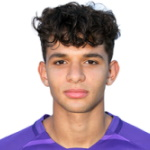 Ziad El Sheiwi