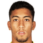 Bruno Henrique Marques Torres