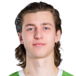 Deņiss Rogovs