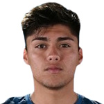 Alejandro Ismael Henríquez Ferrufino