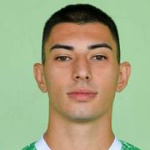Stefan Gajilović