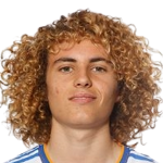 David de la Víbora Bonilla