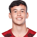 Lucciano Fabrissio Reinoso Torin