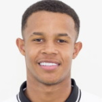 Pedro Henrique Silva dos Santos
