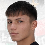 Benjamín Sebastián Araneda Aravena