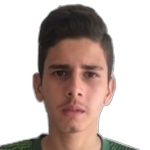 Pedro Victor de Brito Cutrim