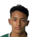 Halerrandrio dos Santos Feitosa