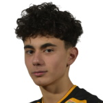 Adrian Briciu