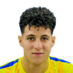 Nader Farag Mohamed Abdallah