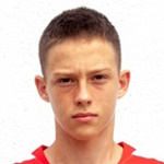 Matija Subotić