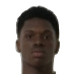Darlan Mendes Borges