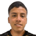 Martín Andrés Mundaca Barraza