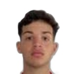 João Pedro Pantiga Gomes