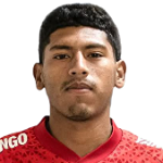 Edwin Tumiri Pardo