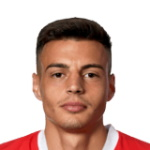 Kenan Fatkić