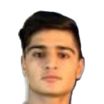 Mojtaba Hasheminasab