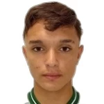 Vitor Gonçalves Tissi