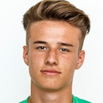 Dennis Verwüster