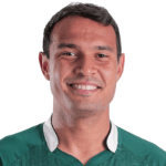Vinícius Santos Silva