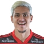 Pedro Guilherme Abreu dos Santos