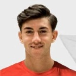 Domingo Pujante Beltrán