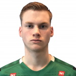 Þorleifur Úlfarsson