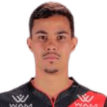 Arthur Henrique Peixoto Santos