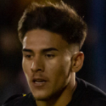 Brian Nicolás Mansilla Islas