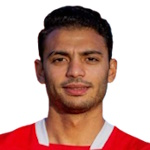 Hesham Adel Mohamed Nabawi