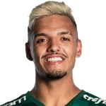 Gabriel Vinicius Menino
