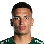 Henri Marinho dos Santos
