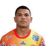 Wendel de Araújo Delfino