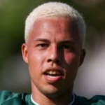 Matheus Henrique de Souza de Carvalho
