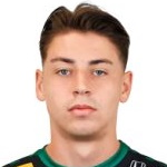 Nico Wiesinger