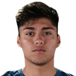 Alejandro Ismael Henríquez Ferrufino
