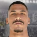 Wellington Luiz de Oliveira Santana