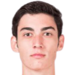 Diego Llamazares Fernández