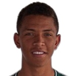 Arilson Pedro Ribeiro de Lima