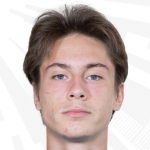 Andrey Marjanov