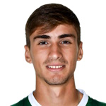 Nicolás Guillermo Fuica Collazzi