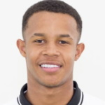 Pedro Henrique Silva dos Santos