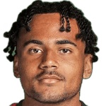 Levis Pitan