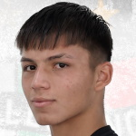 Benjamín Sebastián Araneda Aravena