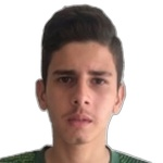 Pedro Victor de Brito Cutrim