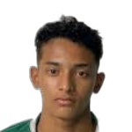 Halerrandrio dos Santos Feitosa